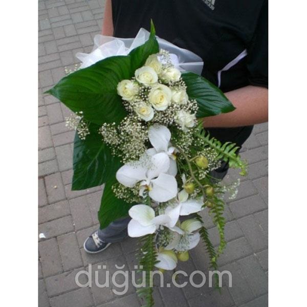 Tropikal Çiçekçilik