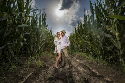 Ortam Ajans Düğün