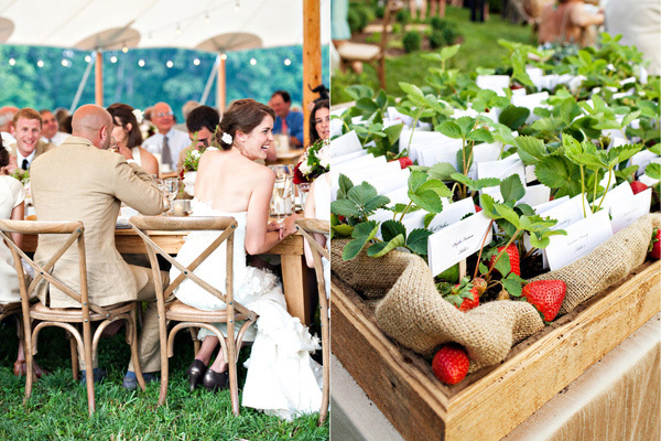 Konuklarınızı şaşırtın!