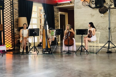 image-1317848
