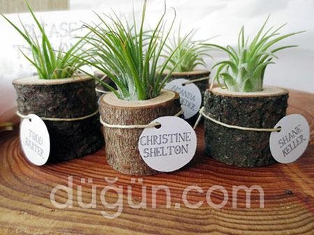 İlginç Düğün Hediyeliği