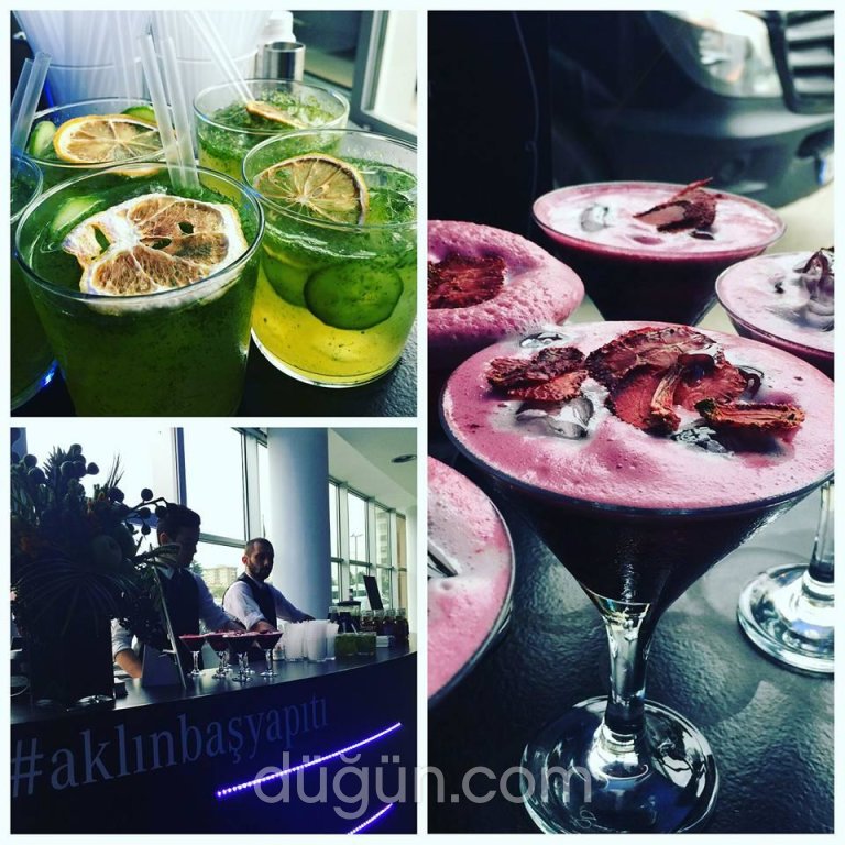 Alcoholoco Bar Catering Servisi