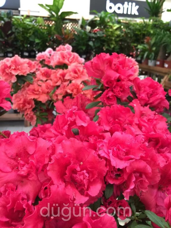 Prenses Çiçek Sarayı