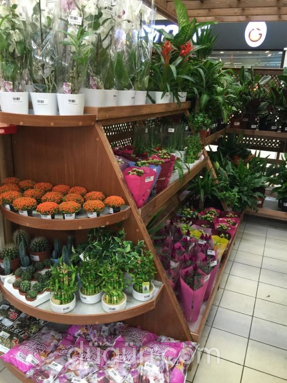 Prenses Çiçek Sarayı