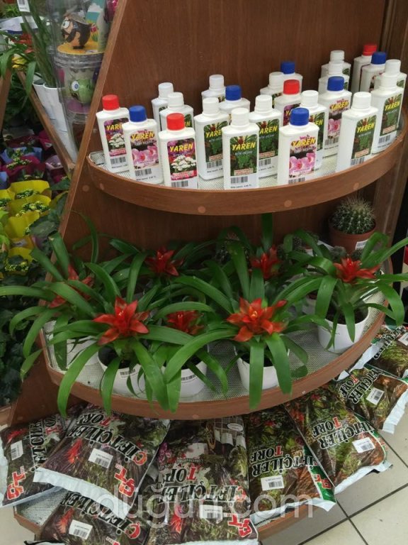 Prenses Çiçek Sarayı