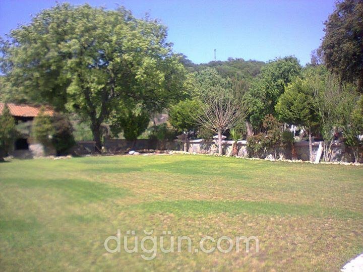 Bitez Defne Restaurant