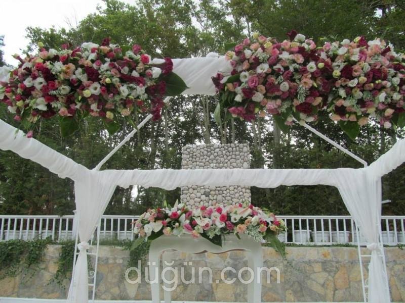 Gold Davet Organizasyon