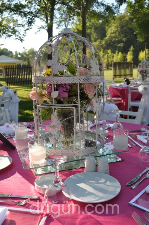 Gold Davet Organizasyon