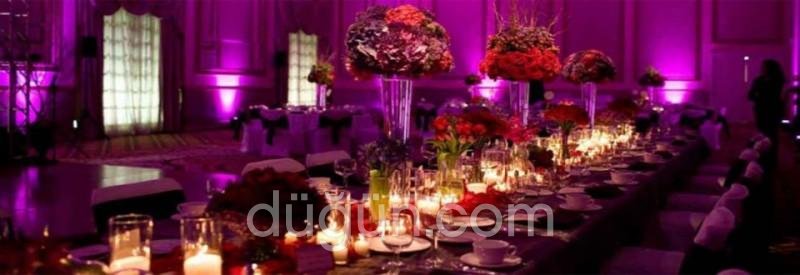 Moonlight Organizasyon