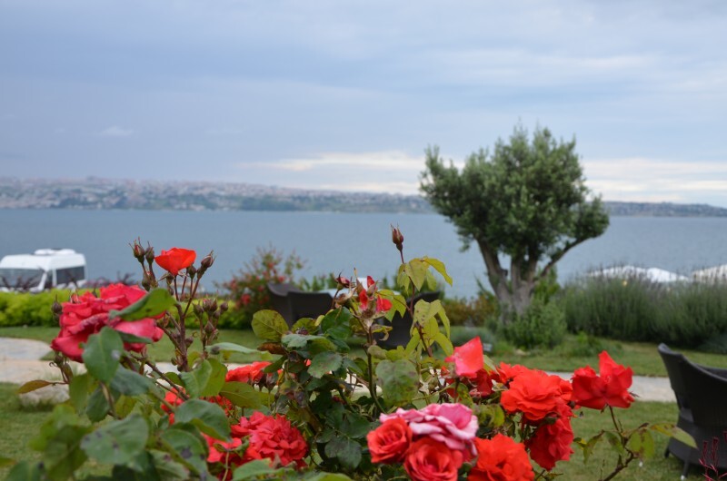 Batı Panorama
