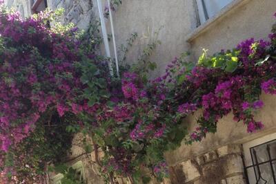 Suriye Koçan Moda Tasarım