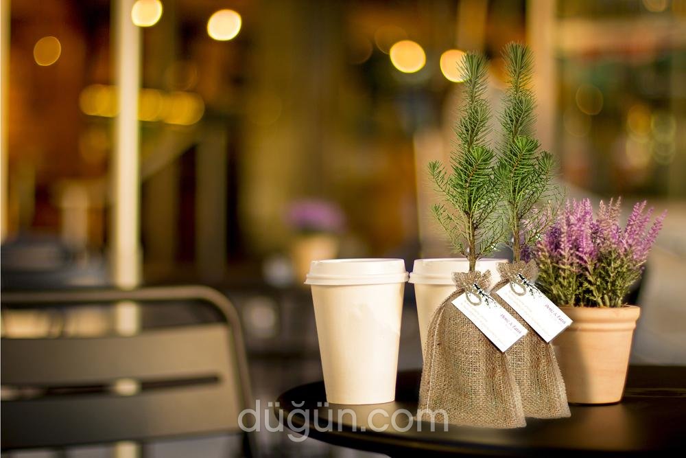 Fideland Nikah Fidanları