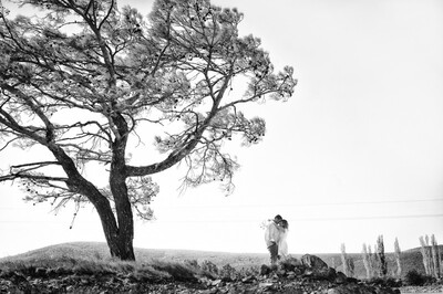 Lu Photo-Art