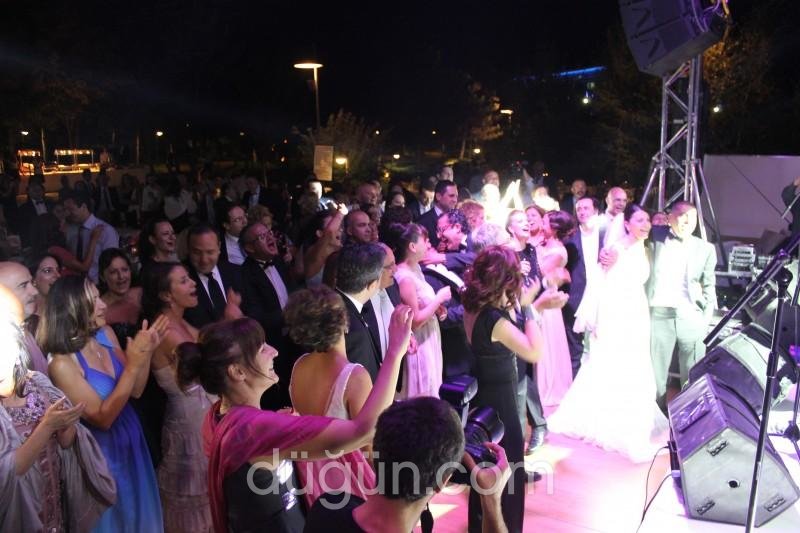 Positive Live Project