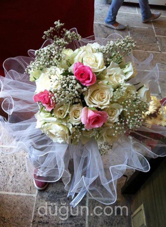 Kılıçoğlu Organizasyon