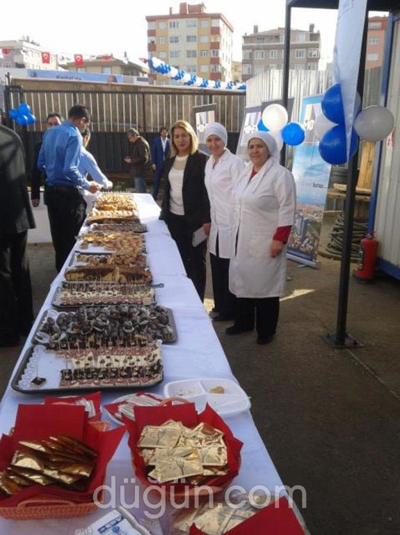 Artemis Life Catering