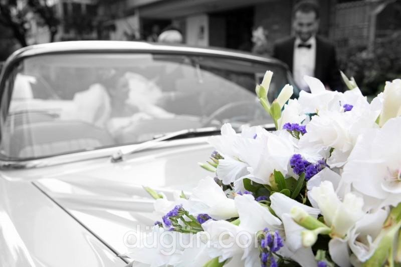 Hakan Durusoy Photography