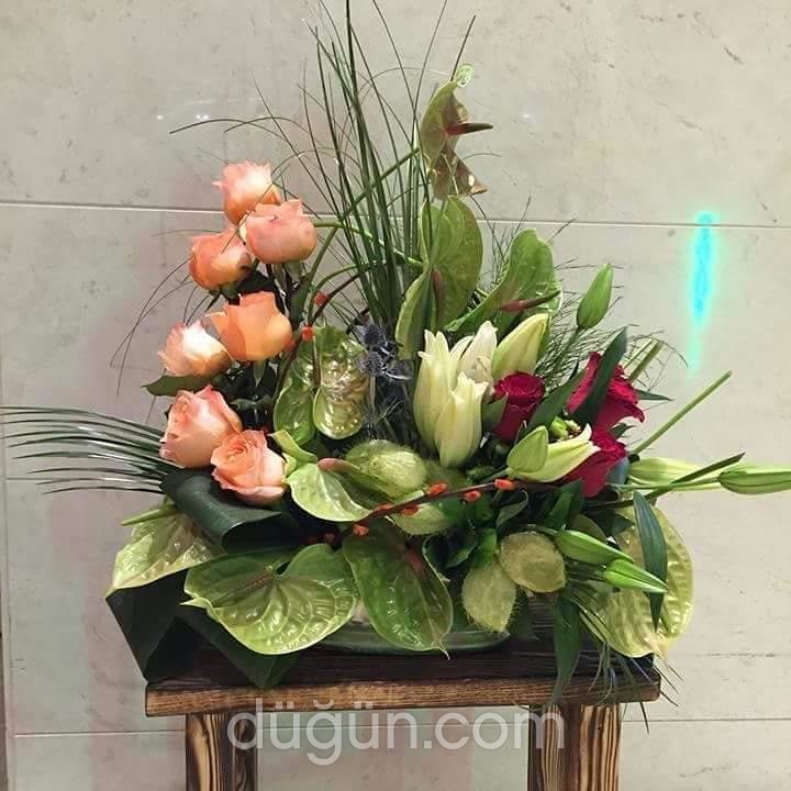 Koza Çiçekçilik