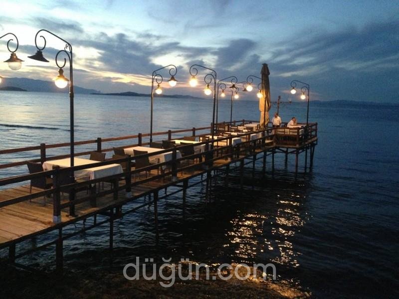 Tek Tek Meyhanesi Zeytinalanı