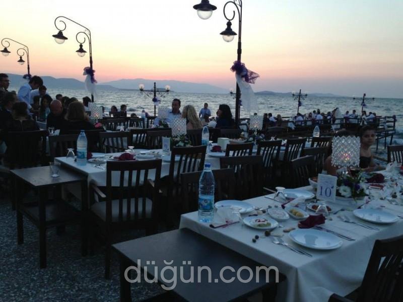 Tek Tek Meyhanesi Zeytinalanı