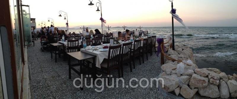 Tek Tek Meyhanesi Zeytinalanı