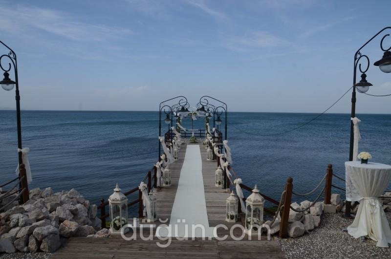 Tek Tek Meyhanesi Zeytinalanı