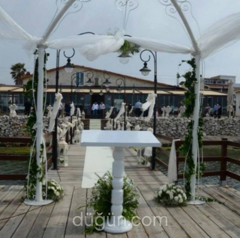 Tek Tek Meyhanesi Zeytinalanı