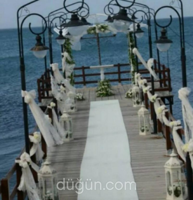 Tek Tek Meyhanesi Zeytinalanı