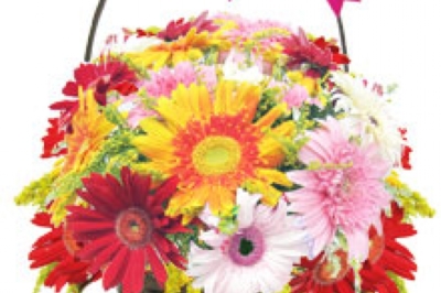 M&Y cicekcilik ve organizasyon