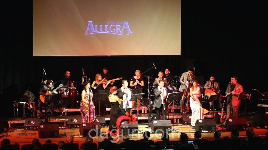 Orkestra Allegra