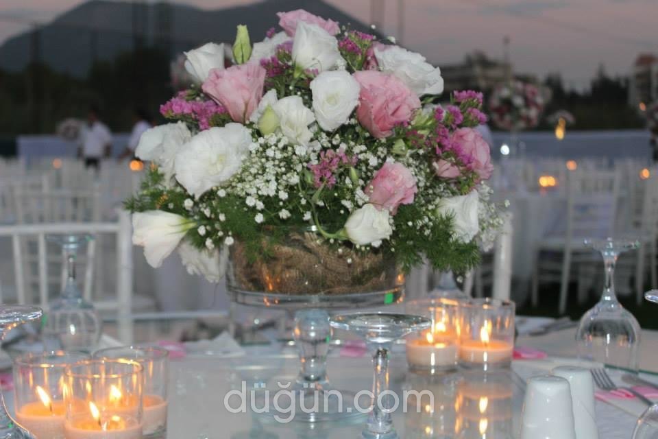 Karmen Müzik Organizasyon