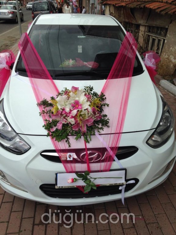 Bade Su Çiçek Dünyası