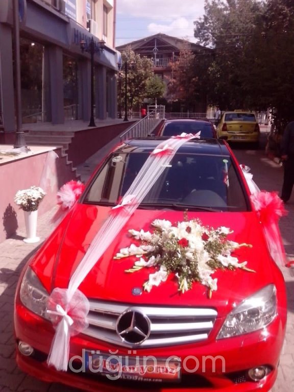 Bade Su Çiçek Dünyası