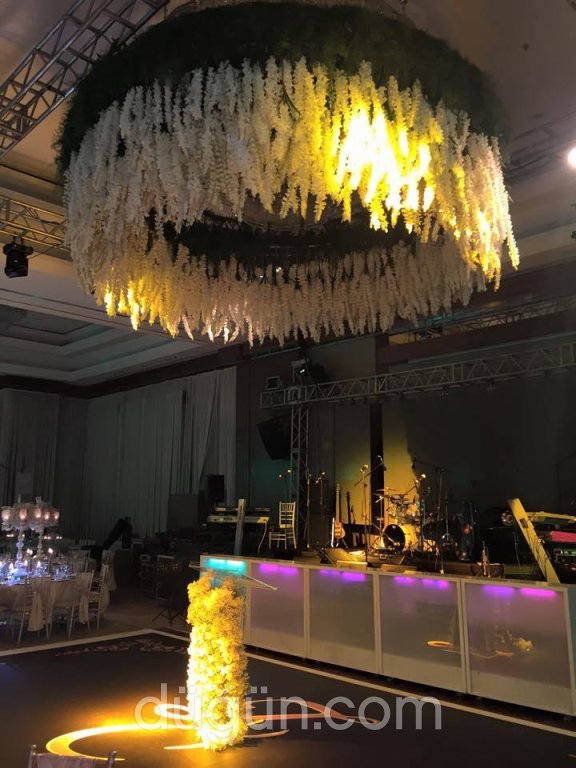 Divases Ses Işık ve Organizasyon