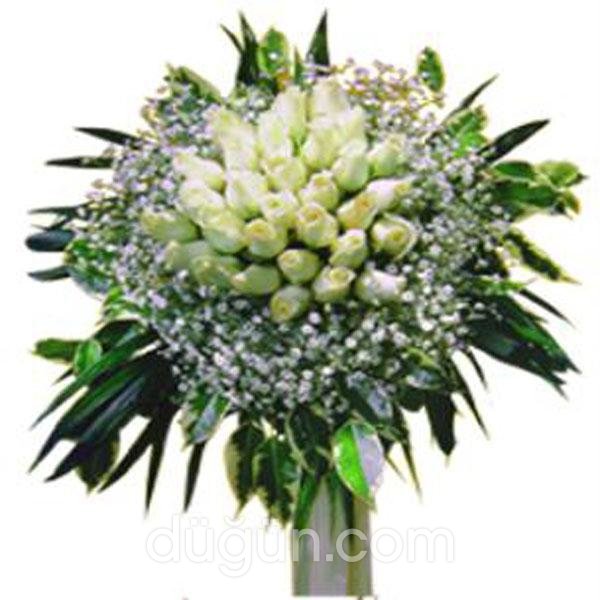 Papatya Çiçekçilik