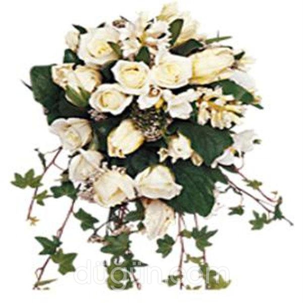 Papatya Çiçekçilik