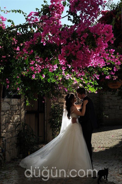 Tual Fotoğrafçılık