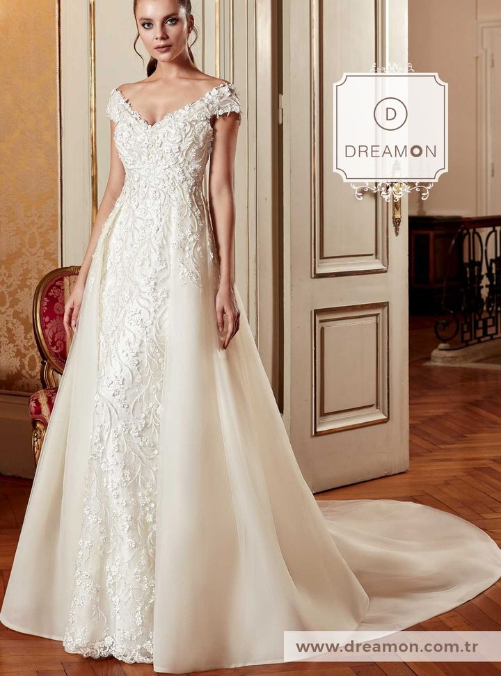 The Renaissance Jan Van  