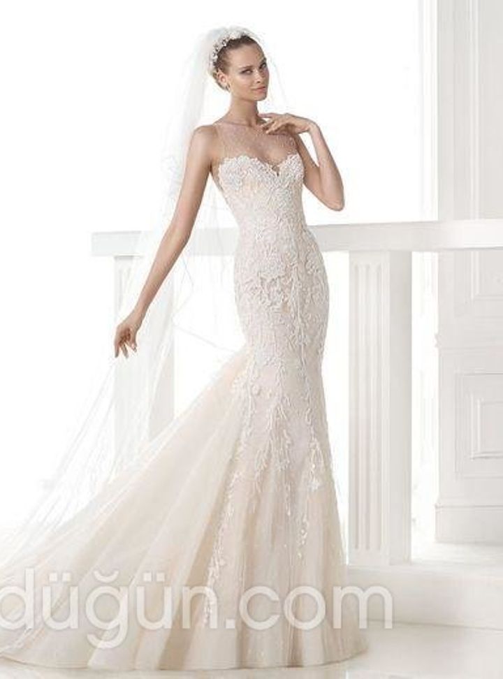 Aysshe Moda 20