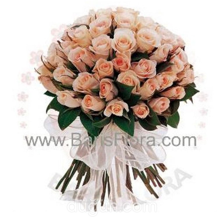 Barış Flora Uluslararası Çiçekçilik
