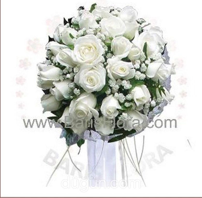 Barış Flora Uluslararası Çiçekçilik