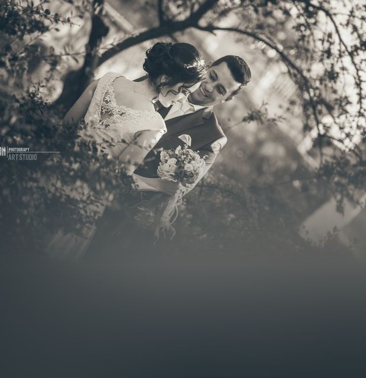 Art Photograpy Wedding Photo