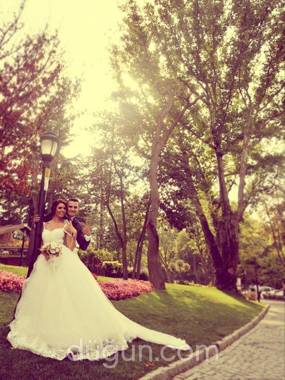 Işık Fotoğrafçılık