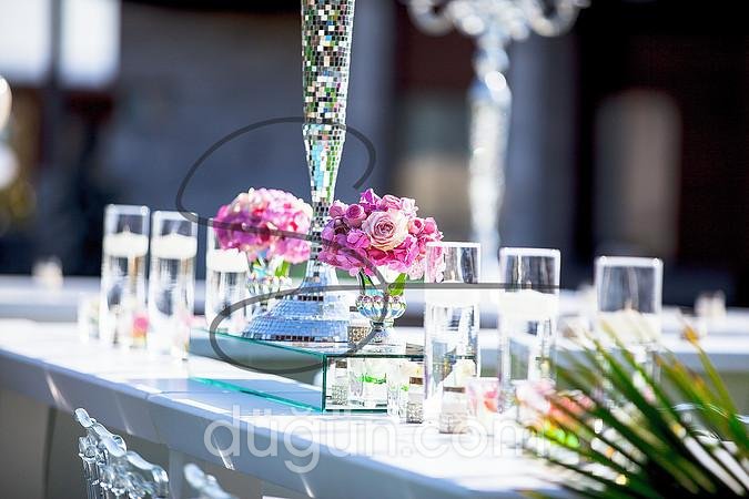 Şebnem Organizasyon