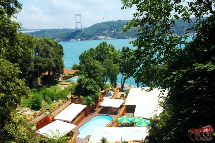 Serander Bosphorus / Fuga Live