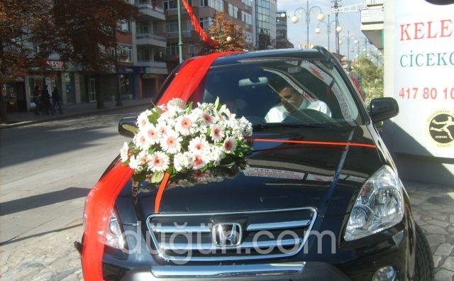 Kelebek Çiçekçilik