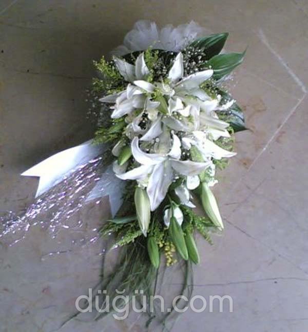 Kelebek Çiçekçilik