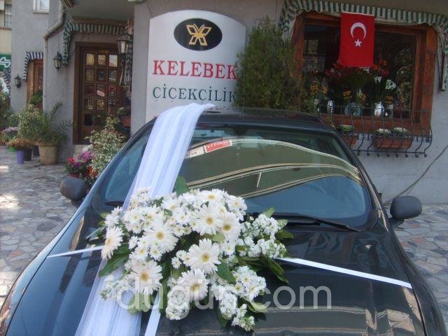 Kelebek Çiçekçilik