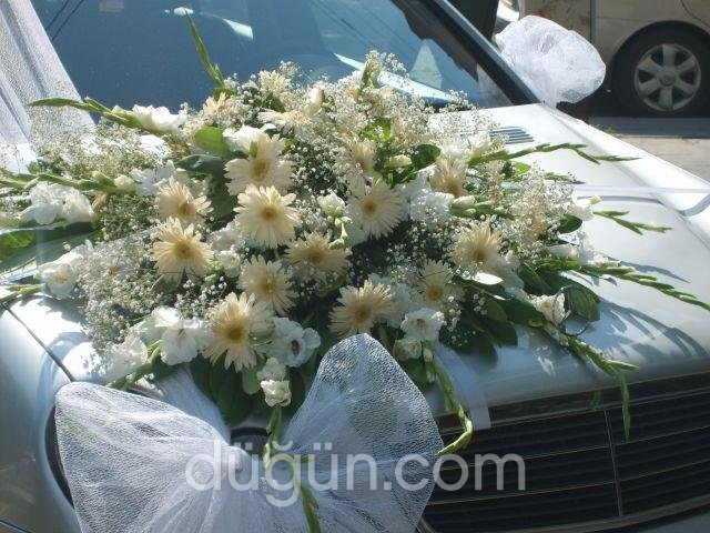 Kelebek Çiçekçilik