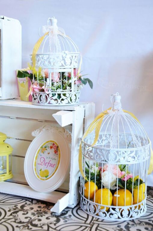 Queen Consept Organizasyon